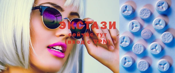 стаф Новодвинск