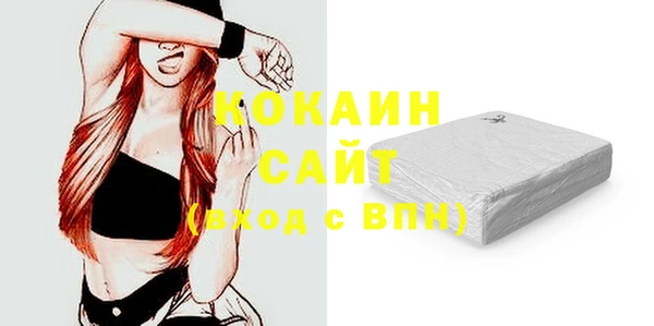 стаф Новодвинск