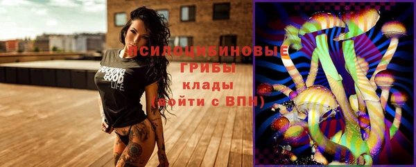 метадон Новозыбков