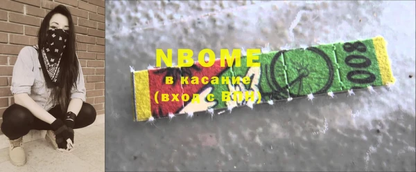 стаф Новодвинск