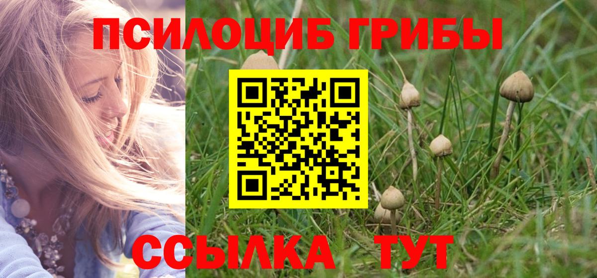 Луга  Галлюциногенные грибы Magic Shrooms  Вход с VPN  даркнет сайт  Псилоцибиновые грибы ЛСД 