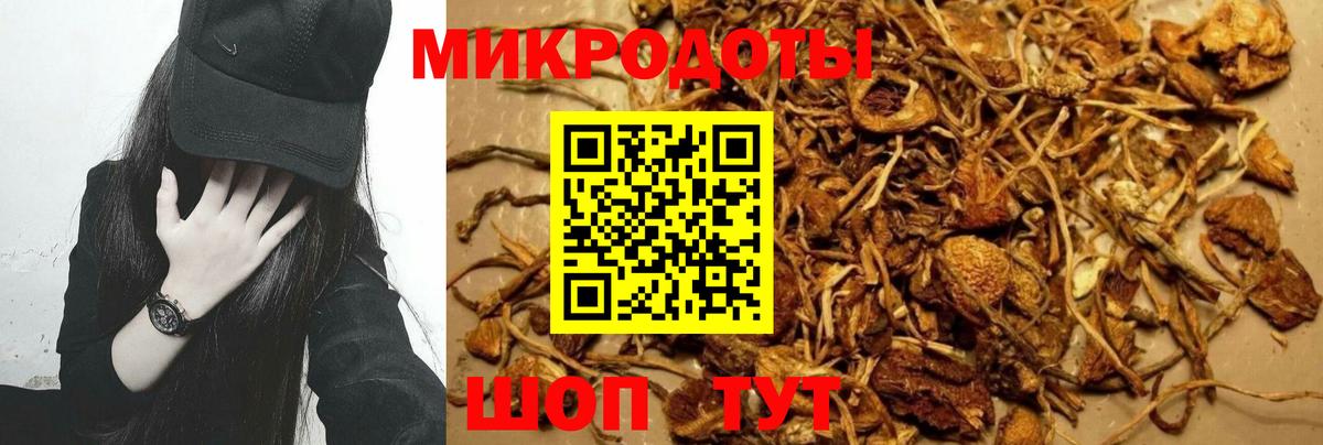 Псилоцибиновые грибы Magic Shrooms Луга