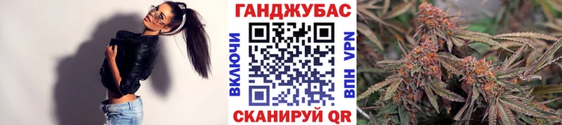 Бошки Шишки семена  где можно купить   Луга 
